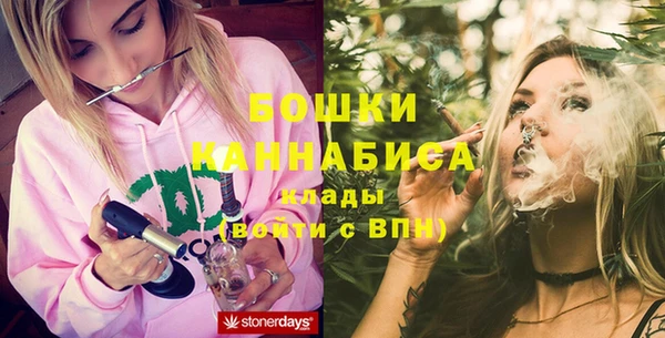 PSILOCYBIN Алексеевка