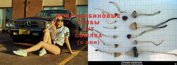 дживик Алексин