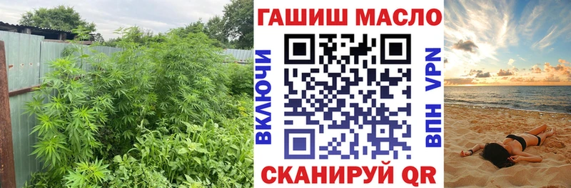 omg tor  Чайковский  Дистиллят ТГК THC oil 
